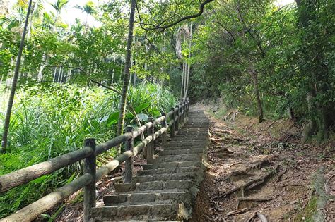 福人山|桃園龜山福源山步道｜百年大榕樹私房美食交通路線攻 